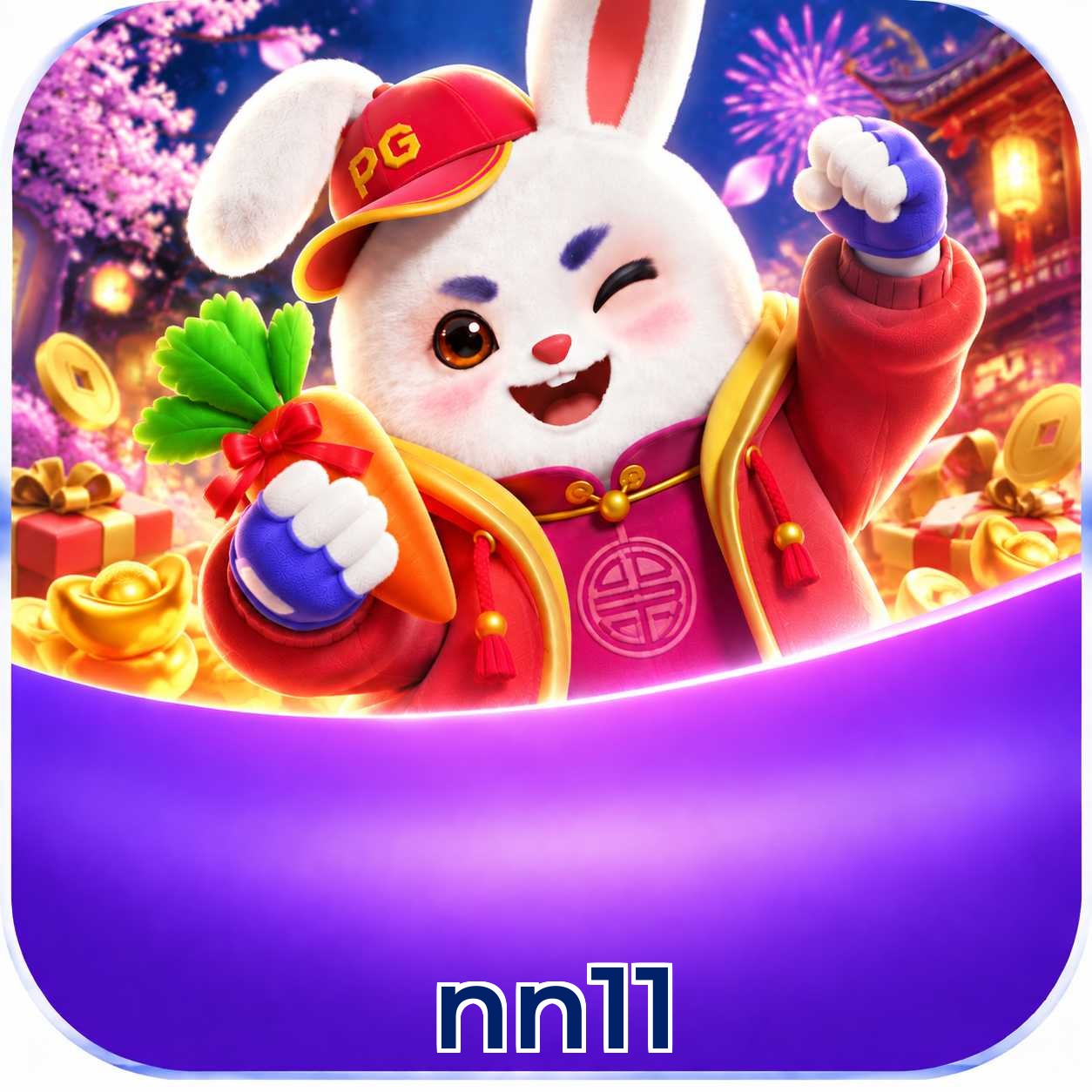 nn11